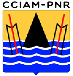 Logo 1